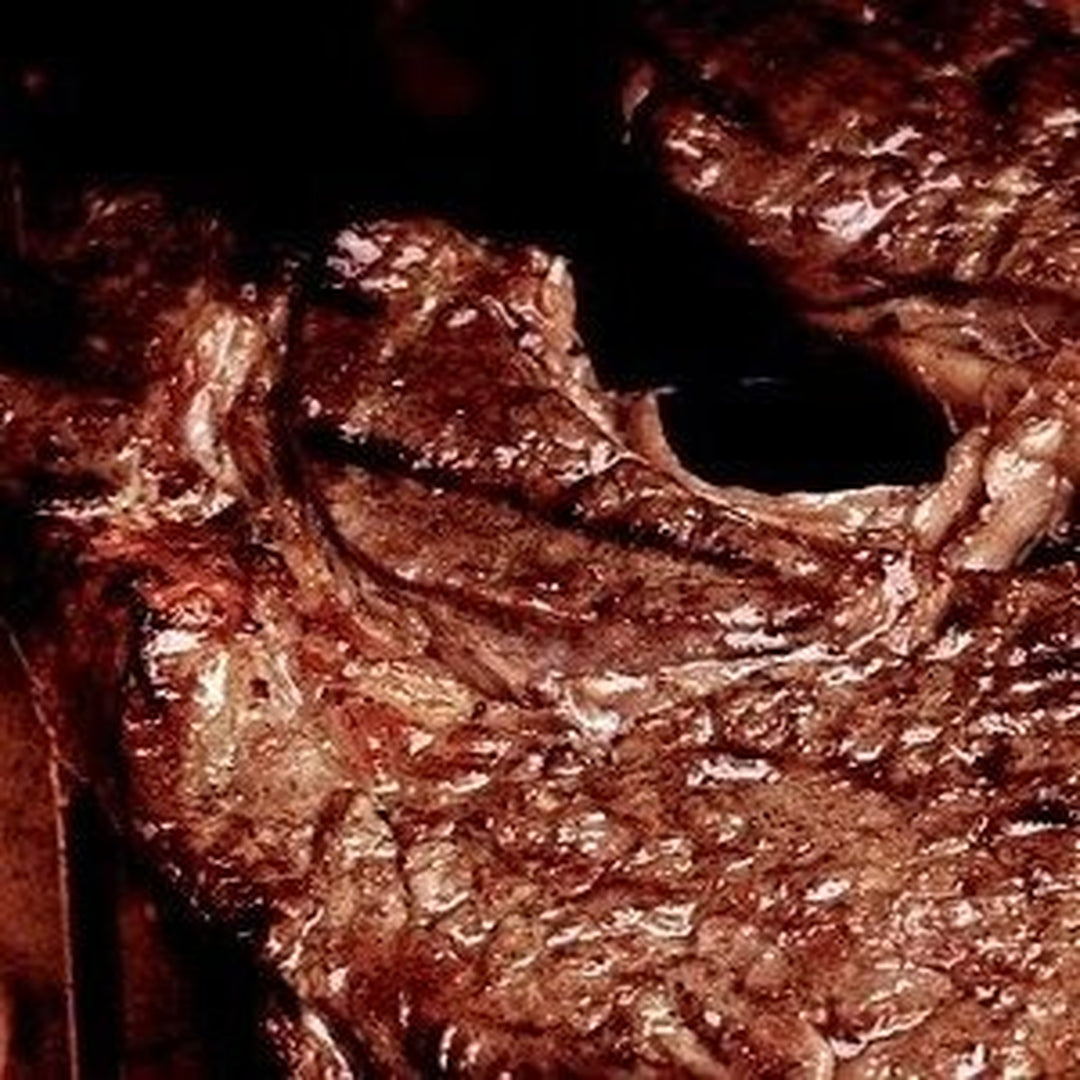Close-up of seared ribeye steak with charred crust