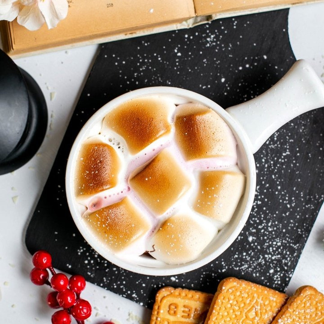 Toasted marshmallows atop hot cocoa in a white mug on black slate, biscuits and red berries; book shows 259, biscuit shows BE