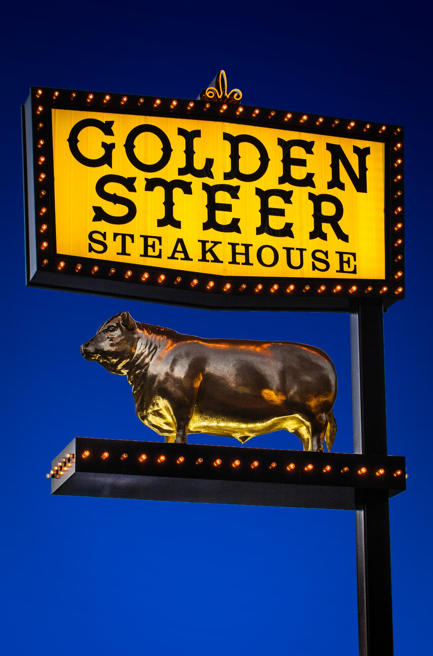 Golden Steer Steakhouse logo on fluorescent blue background