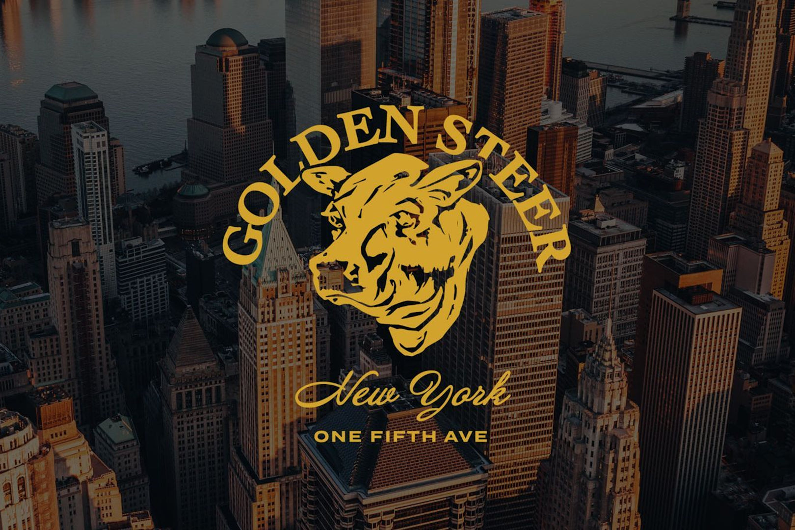 Description of image